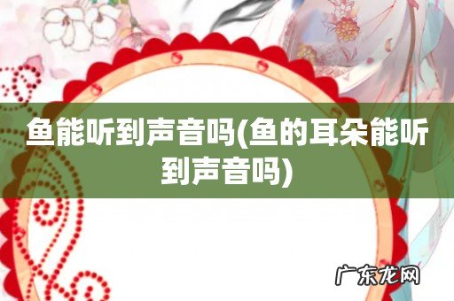 鱼的耳朵能听到声音吗 鱼能听到声音吗