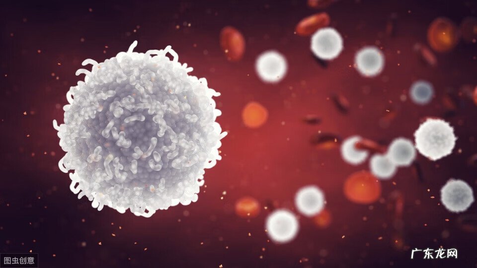 女性hpv感染初期症状 女人感染hpv的早期症状