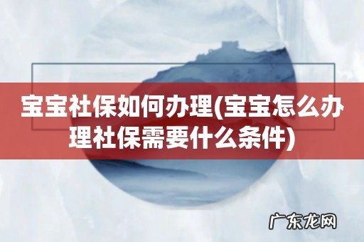 宝宝怎么办理社保需要什么条件 宝宝社保如何办理