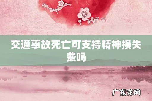 交通事故死亡可支持精神损失费吗