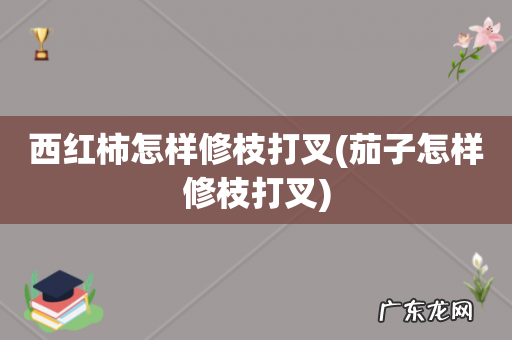 茄子怎样修枝打叉 西红柿怎样修枝打叉