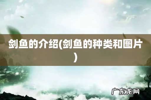 剑鱼的种类和图片 剑鱼的介绍