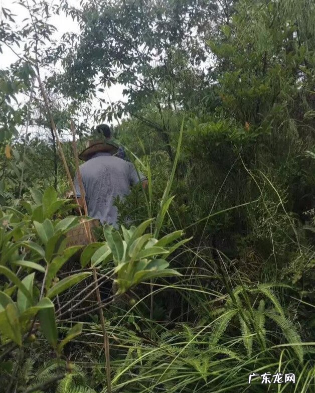 福州地段风水排名 福州风水最好的地方