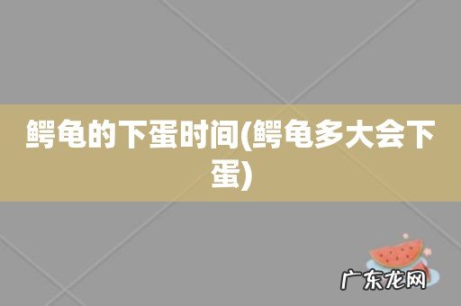 鳄龟多大会下蛋 鳄龟的下蛋时间