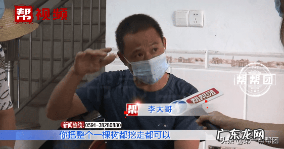 屋后种芒果树风水好吗 风水门前有棵芒果树好不好