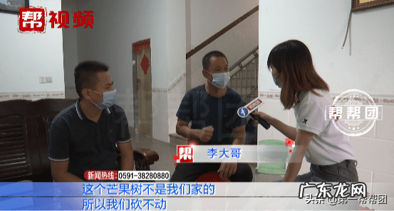 屋后种芒果树风水好吗 风水门前有棵芒果树好不好