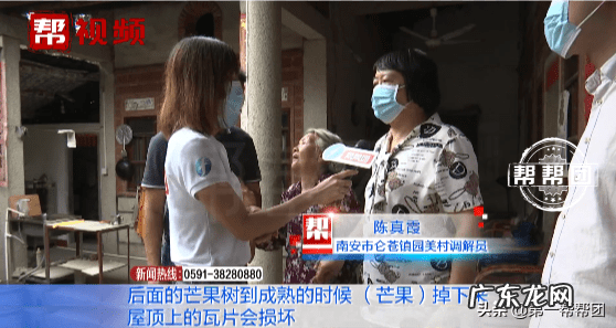 屋后种芒果树风水好吗 风水门前有棵芒果树好不好