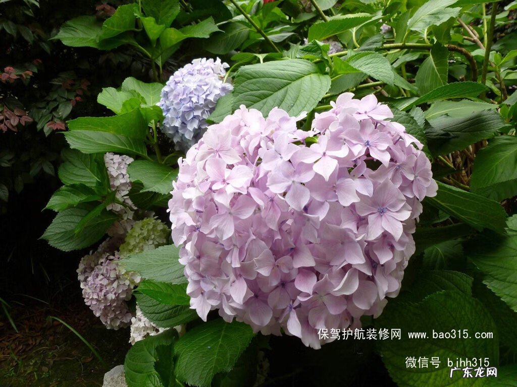 风水球的作用 房间可以放风水球吗