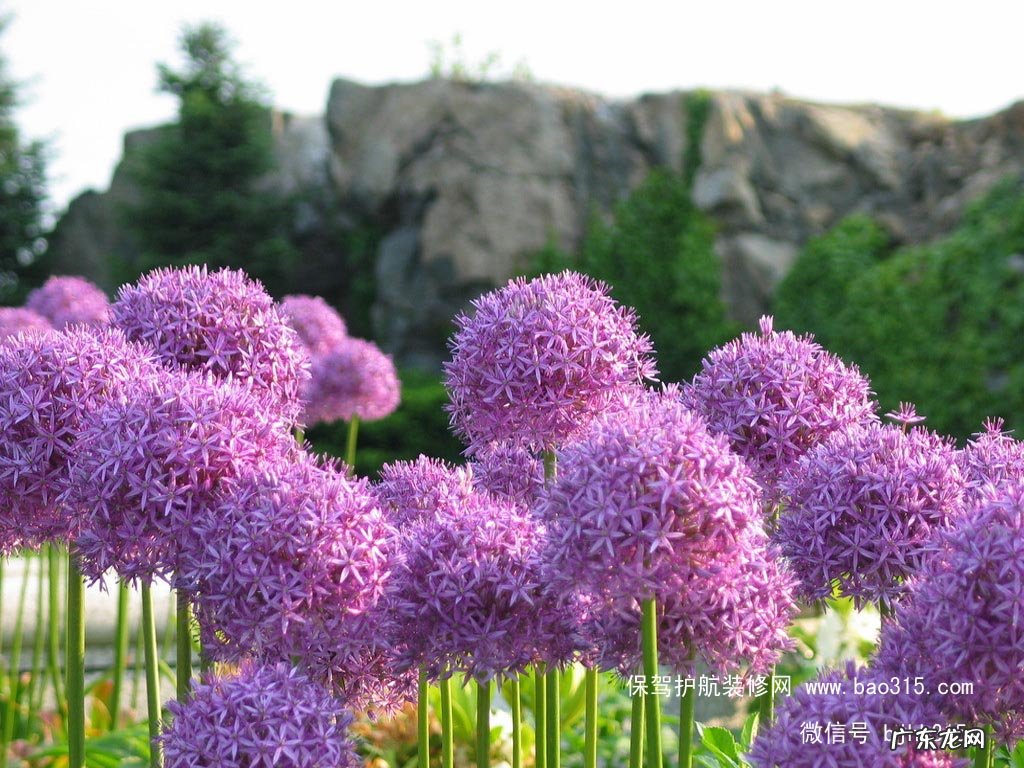 风水球的作用 房间可以放风水球吗