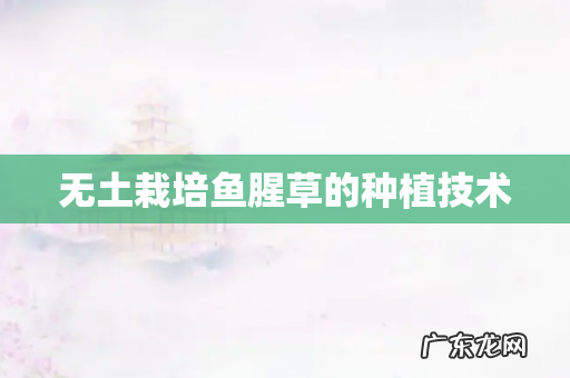 无土栽培鱼腥草的种植技术