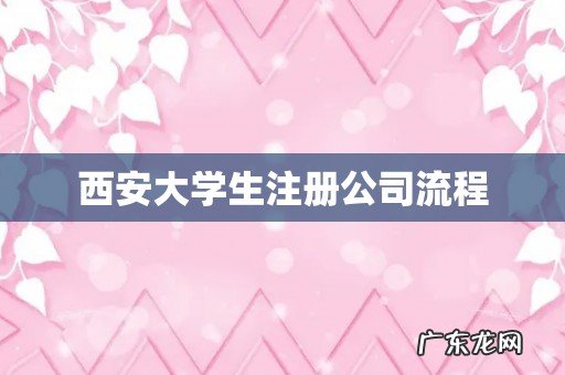 西安大学生注册公司流程