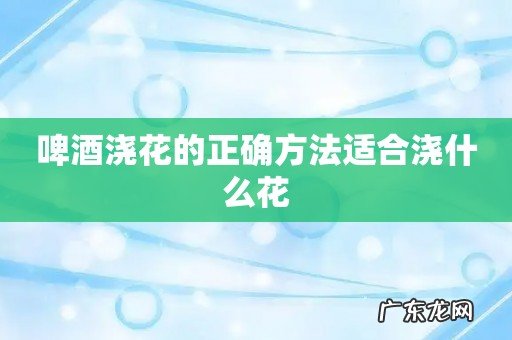 啤酒浇花的正确方法适合浇什么花