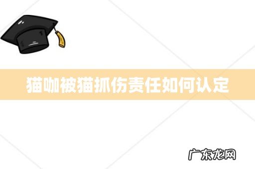 猫咖被猫抓伤责任如何认定
