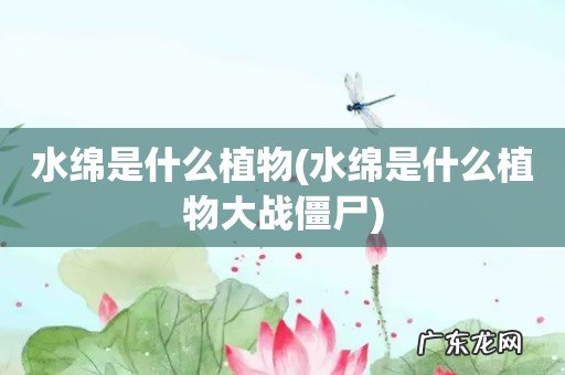 水绵是什么植物大战僵尸 水绵是什么植物