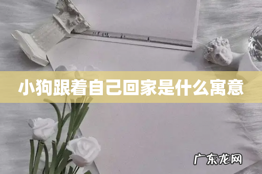 小狗跟着自己回家是什么寓意