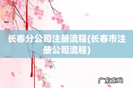 长春市注册公司流程 长春分公司注册流程