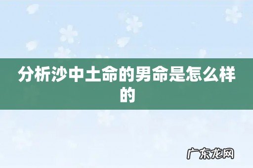 分析沙中土命的男命是怎么样的