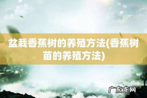 香蕉树苗的养殖方法 盆栽香蕉树的养殖方法