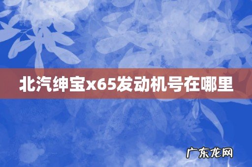 北汽绅宝x65发动机号在哪里