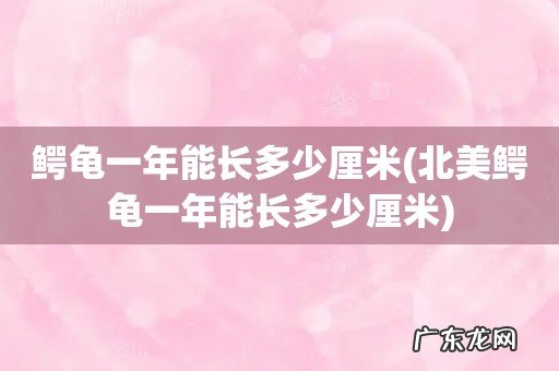 北美鳄龟一年能长多少厘米 鳄龟一年能长多少厘米