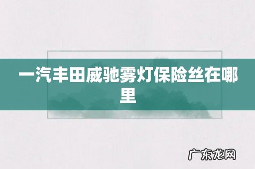 一汽丰田威驰雾灯保险丝在哪里
