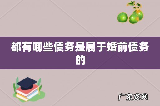 都有哪些债务是属于婚前债务的