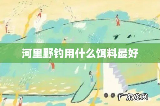 河里野钓用什么饵料最好