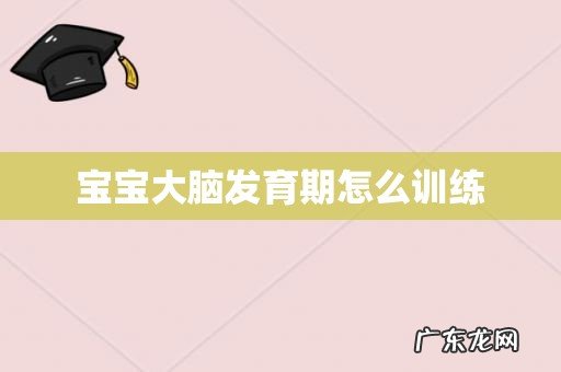 宝宝大脑发育期怎么训练