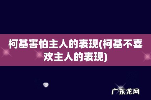 柯基不喜欢主人的表现 柯基害怕主人的表现