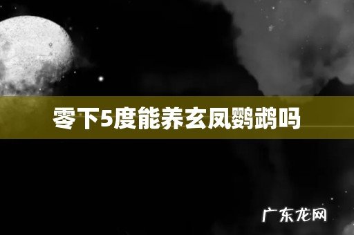 零下5度能养玄凤鹦鹉吗