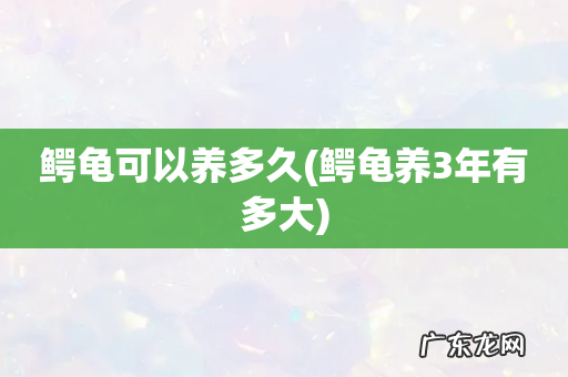 鳄龟养3年有多大 鳄龟可以养多久