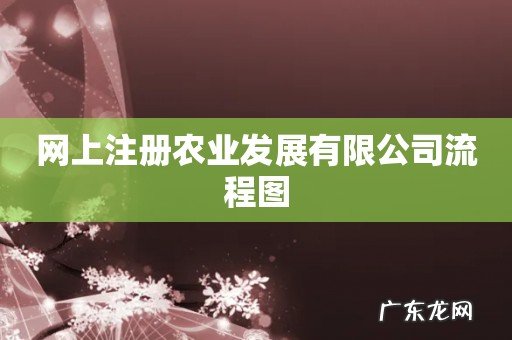 网上注册农业发展有限公司流程图