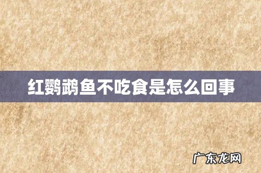 红鹦鹉鱼不吃食是怎么回事