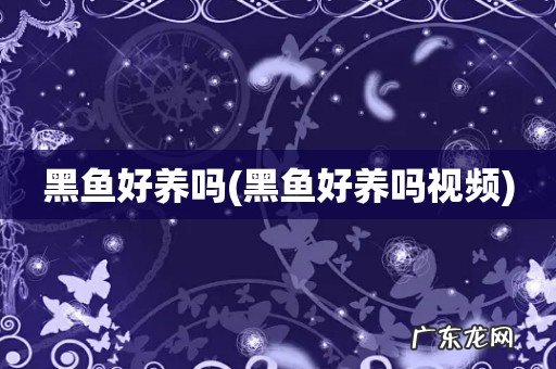 黑鱼好养吗视频 黑鱼好养吗