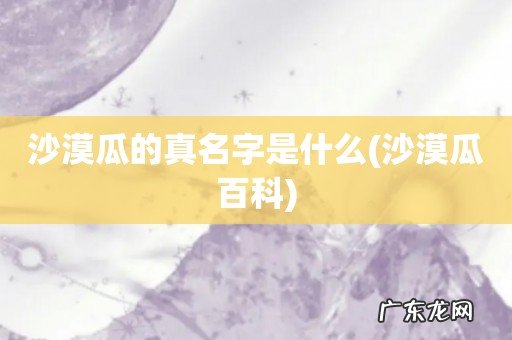 沙漠瓜百科 沙漠瓜的真名字是什么