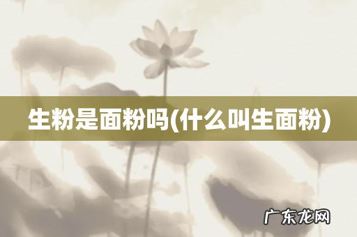 什么叫生面粉 生粉是面粉吗