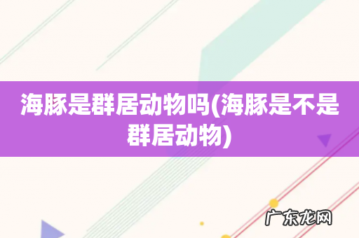 海豚是不是群居动物 海豚是群居动物吗