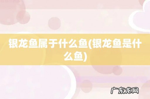 银龙鱼是什么鱼 银龙鱼属于什么鱼