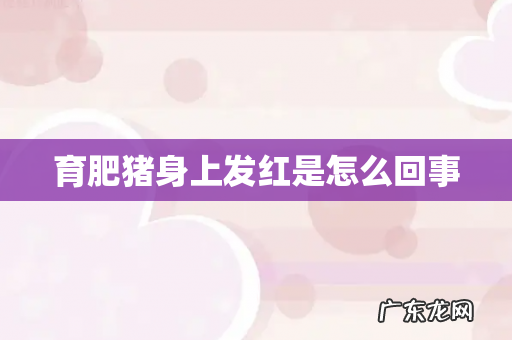 育肥猪身上发红是怎么回事