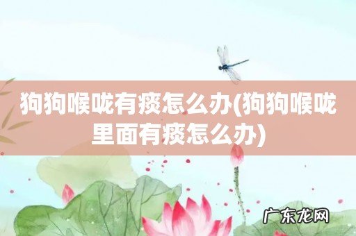 狗狗喉咙里面有痰怎么办 狗狗喉咙有痰怎么办
