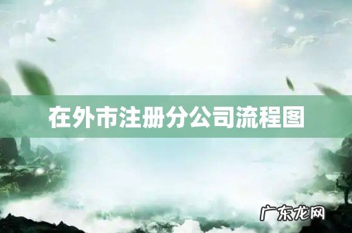 在外市注册分公司流程图