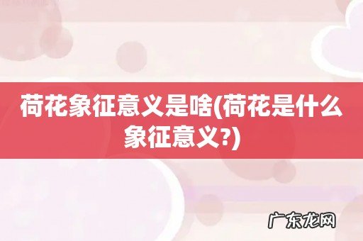 荷花是什么象征意义? 荷花象征意义是啥