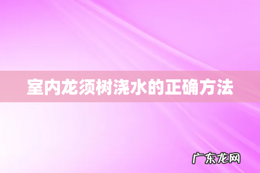 室内龙须树浇水的正确方法