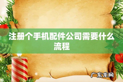 注册个手机配件公司需要什么流程