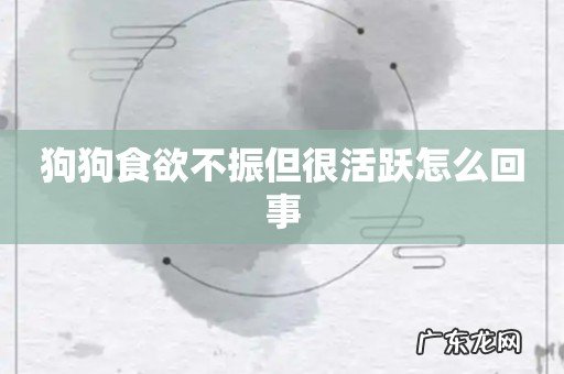 狗狗食欲不振但很活跃怎么回事