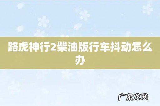 路虎神行2柴油版行车抖动怎么办