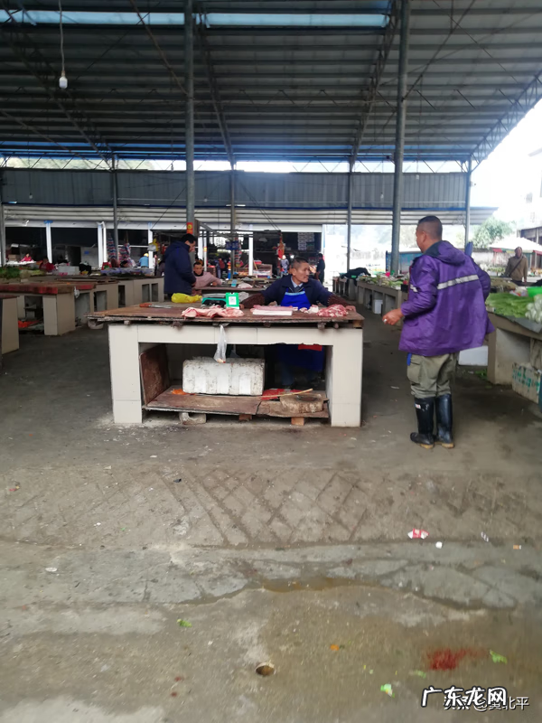 隆安屏山事件 隆安屏山上下孟风水