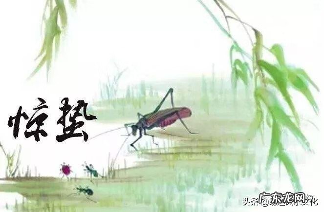 惊蛰风水先生 惊蛰 风水