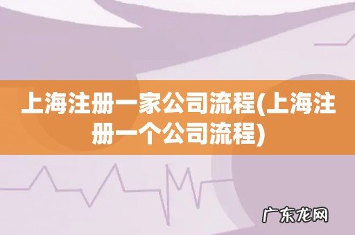 上海注册一个公司流程 上海注册一家公司流程