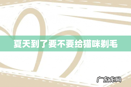 夏天到了要不要给猫咪剃毛